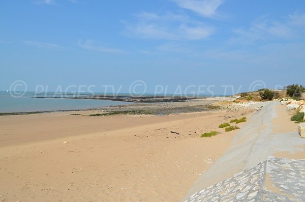 Grande plage à marée basse