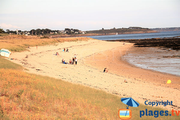 Plage de sable fin bien agréable