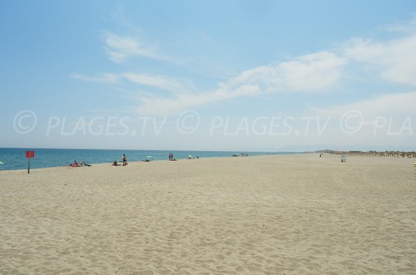 Wild beach in Port Barcarès in France