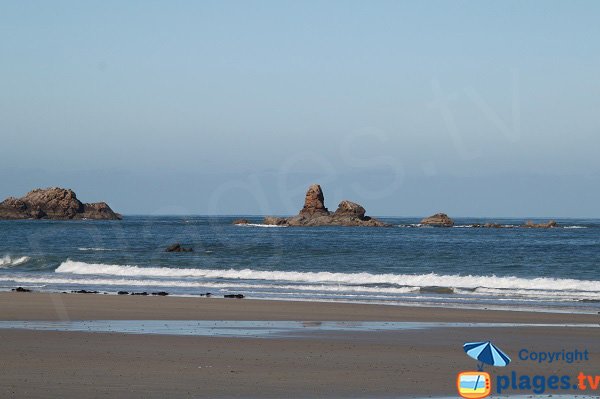 Récifs sur la plage de Primel à Plougasnou