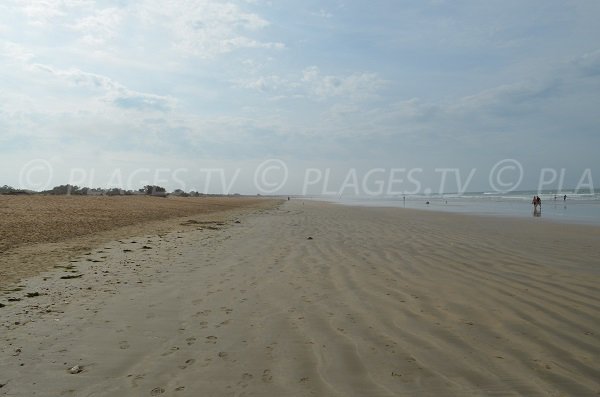 Photo de la plage de la Giraudière à Oléron