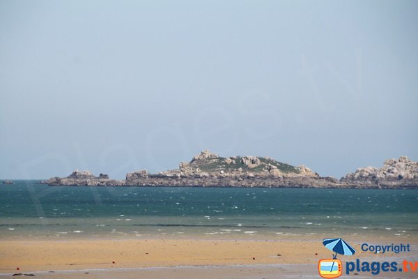 Island of Ricard from the Grève blanche beach of Carantec