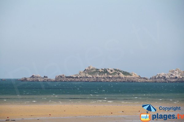 Vue sur l'ile Ricard depuis la grève blanche de Carantec