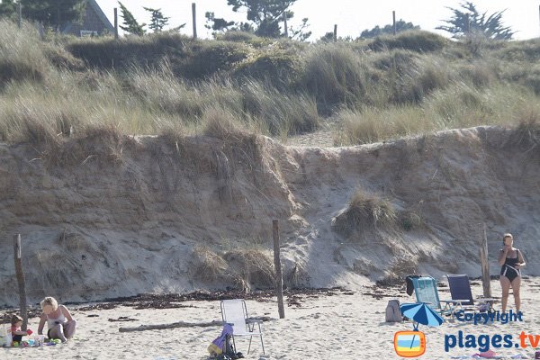 Dunes on Sables d'Or les Pins beach