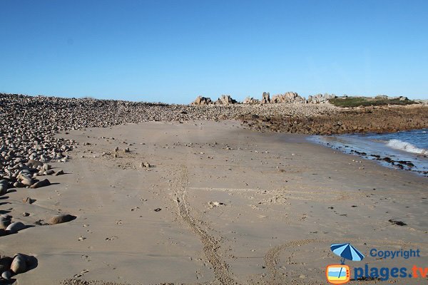 Grève du Port du Diben à Plougasnou