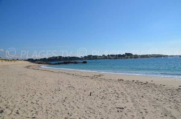 Pink beach in Trégastel in France