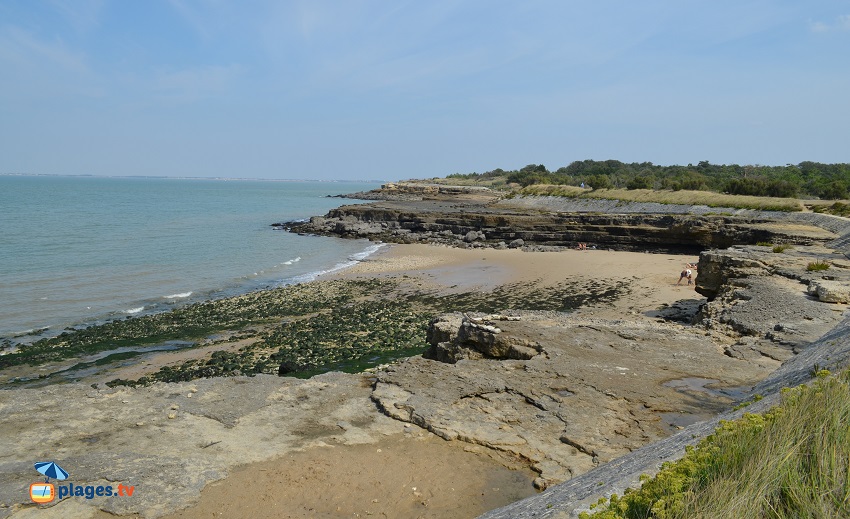 Plage de la Pointe Parc