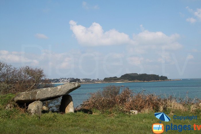 Allée couverte de l'Ile Grande de Pleumeur Bodour