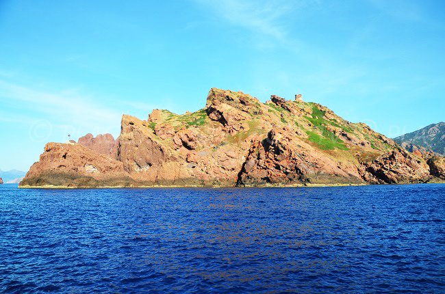 L’isola di Gargalo - Corsica