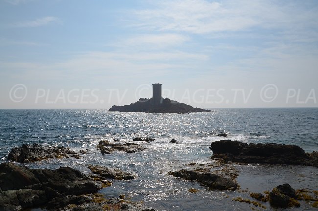 L'ile d'Or depuis le Dramont