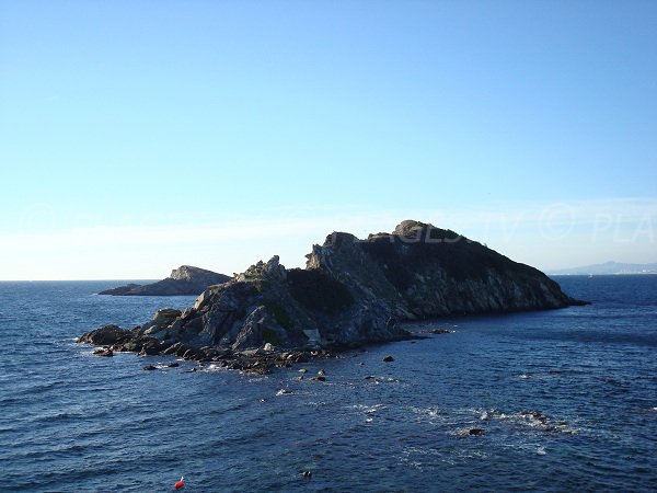 island of Redonne in Giens