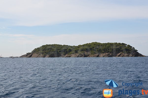 L'ile Verte dans le sud de la France