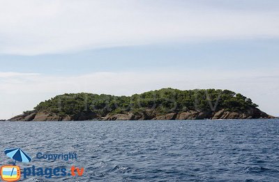 Ile Verte à La Ciotat