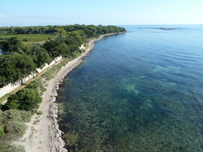 L'île Saint-Honorat, a fianco di Ste Marguerite - Cannes