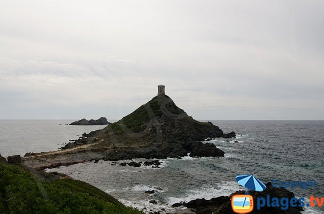 Isole Sanguinarie a Ajaccio