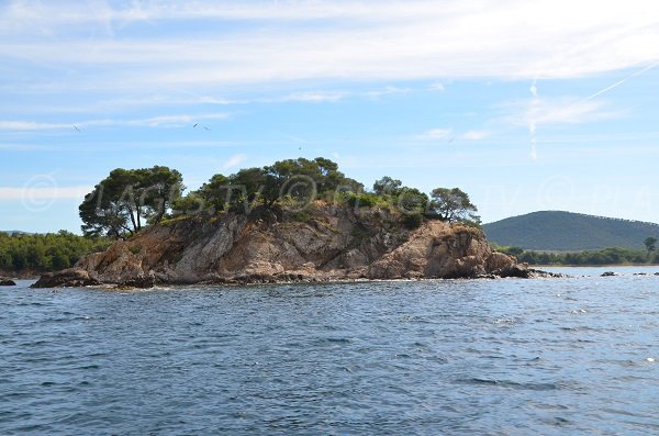 Leoube island