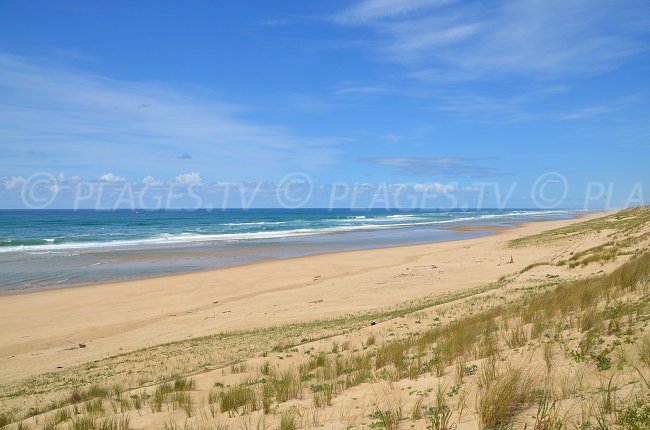 Jenny: une des plages les plus préservées de la Gironde