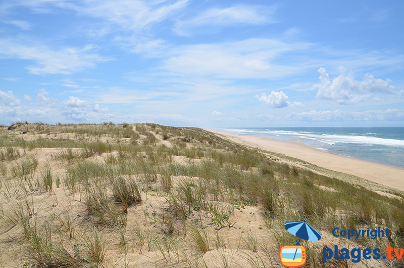 Plage de Jenny - une plage infinie de sable