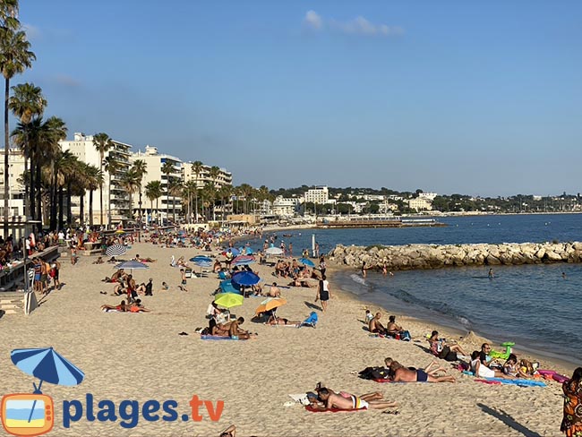 Juan les Pins: the seaside resort of Antibes