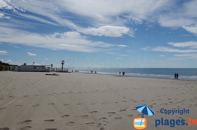 La Grande Motte et sa plage pour les chiens