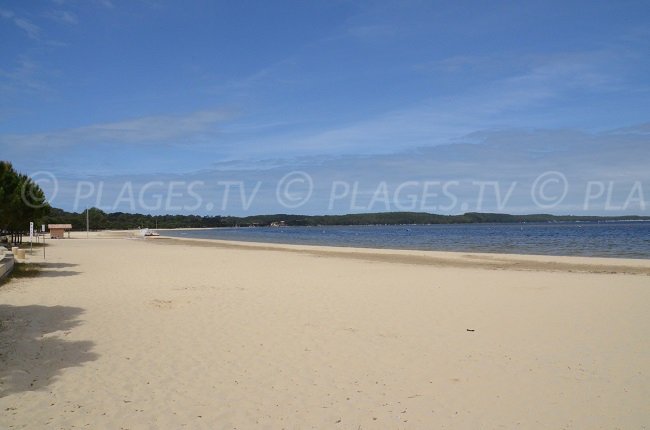 Rivage du lac d'Hourtin en Gironde