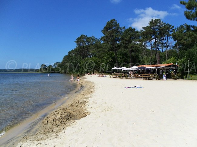 Lac de Cazaux avec une plage de sable