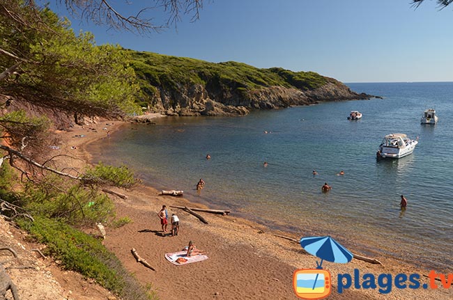 A beach on the island of Porquerolles