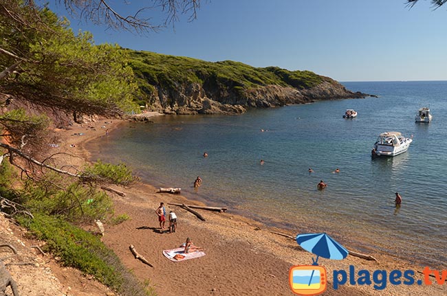 Une plage sur l'ile de Porquerolles