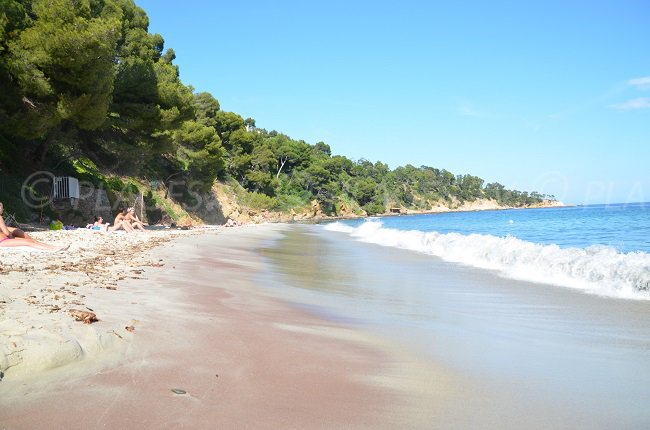 Jean Blanc, a wild beach in Le Lavandou