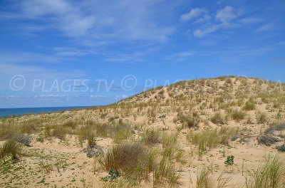 Le Porge Ocean in France