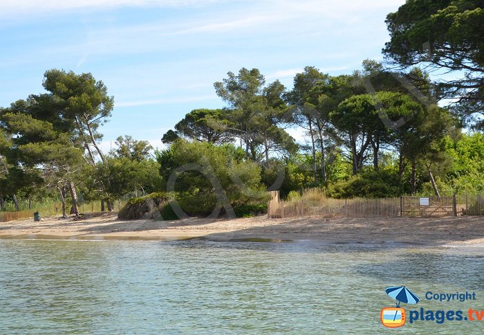 Leoube beach in Bormes les Mimosas and La Londe - southern France