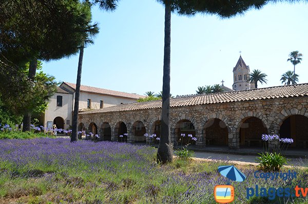 Abbaye sur l'ile de Saint Honorat - Lerins