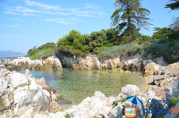 Crique sur l'ile de Saint Honorat - roches et eaux translucides