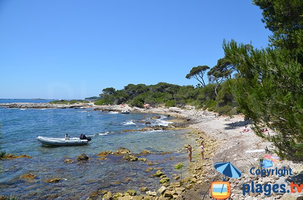 Crique sur l'ile de Sainte Marguerite - Lérins