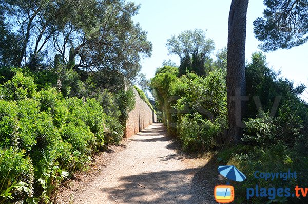 Sentier de l'ile de Sainte Marguerite à proximité du Grand Jardin