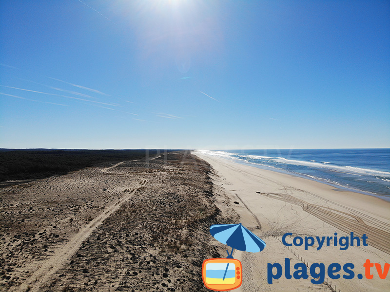 Plage sauvage dans les Landes à Mimizan