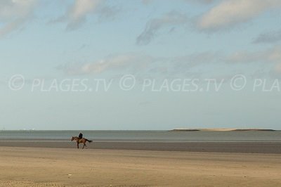 Pennedepie coastline in Normandy