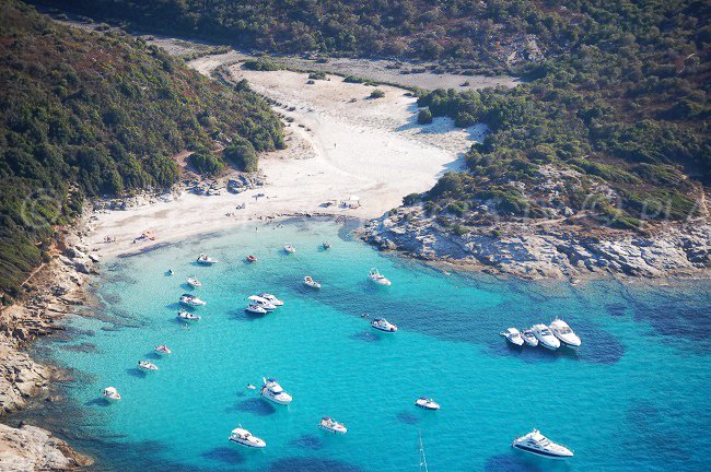 Veduta aerea della spiaggia del Lotu in Corsica