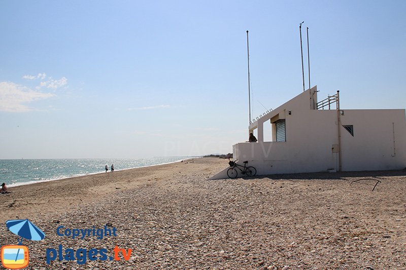 Maguelone : une vaste plage sauvage à proximité de Montpellier