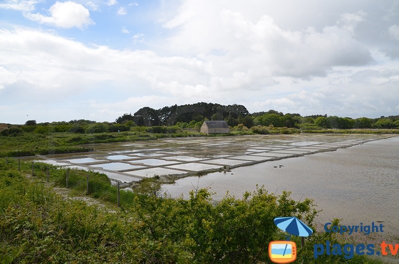 Marais salants de Kervillen - La Trinité sur Mer