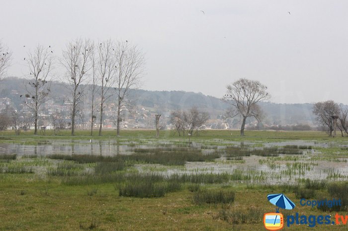 Marais de Villers dans le Calvados