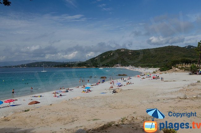 Mare e Sole: une magnifique plage dans le golfe d'Ajaccio