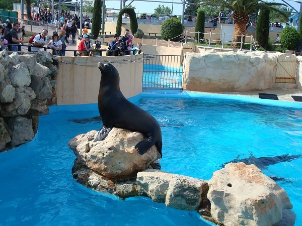 Marineland et les attractions en libre accès