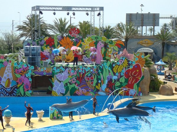 Dauphins à Antibes - Marineland