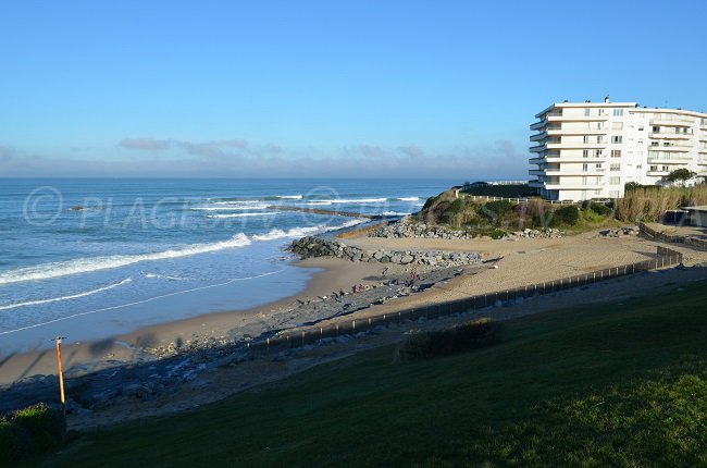 Miladi - Biarritz