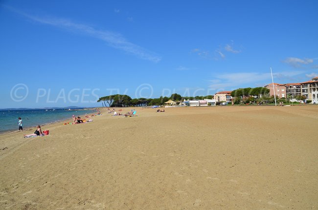 Plage de Miramar avec sa pinède