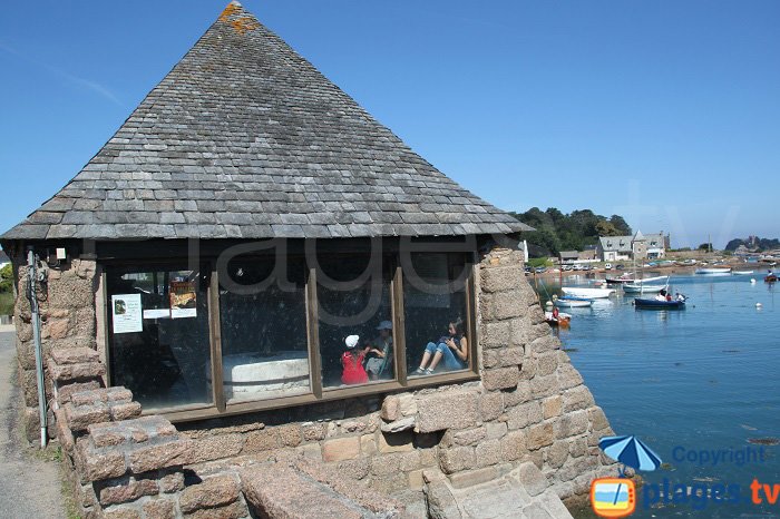 Moulin sur le port de Ploumanach