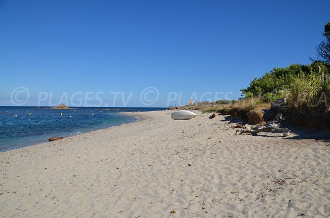 La Moutte: une des plages préférées de PlagesTV dans la baie de St Tropez