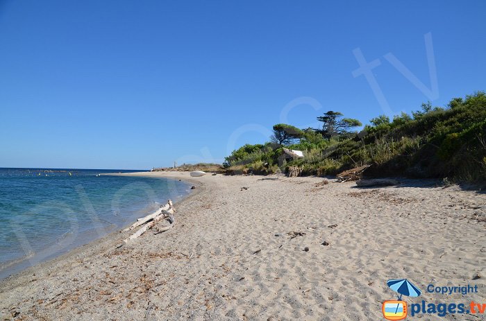 Plage confidentielle à St Tropez