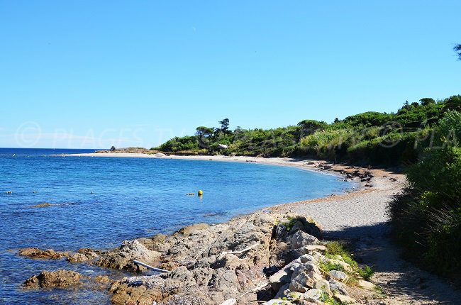 Plage confidentielle à St Tropez